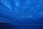 blue monday