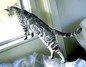 looking for me