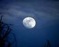 The Moon