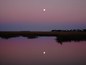 moon rise