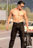 muscular body