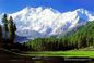 pakistan beauty