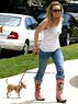 pets.com