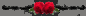 rose ribbon