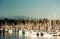 salmon fishing