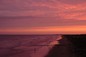 liquid sky