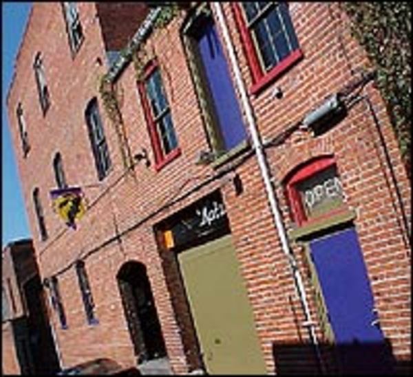 Alley Katz