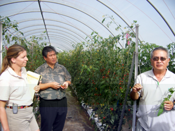 Understanding the Botanical Gardens