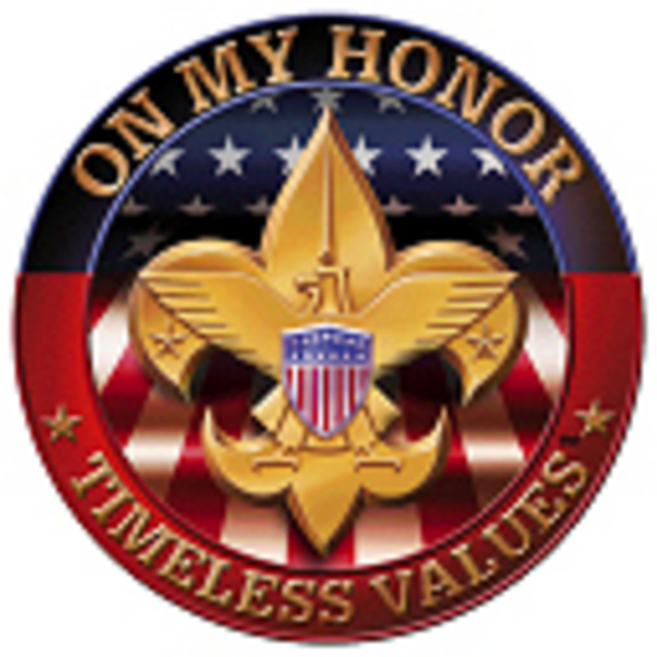 Boy Scouts of America (BSA) Boy Scouts of America (BSA)