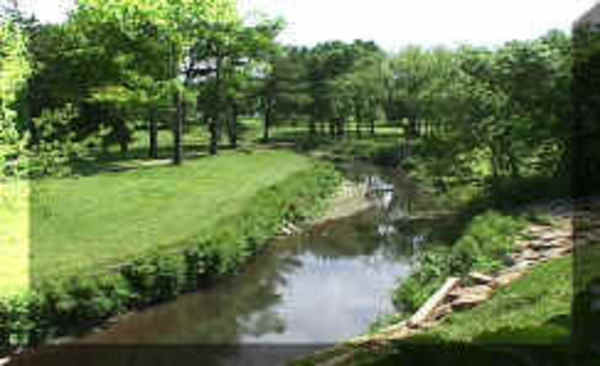 Creek