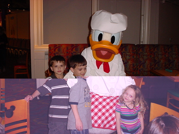 WALT DISNEY WORLD