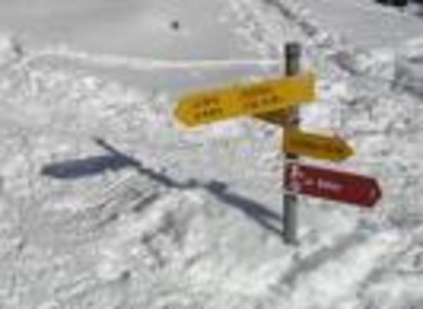 Deep snow