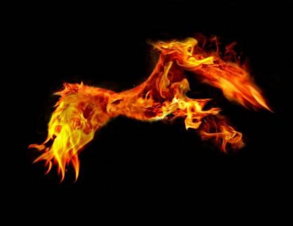 Der Phönix BLACKTROLL