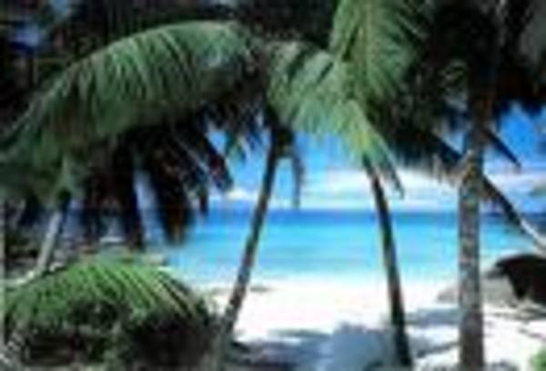 Halawa