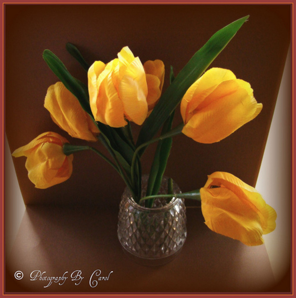 happy birthday lisa images. Happy Birthday Lisa (lisa5776)