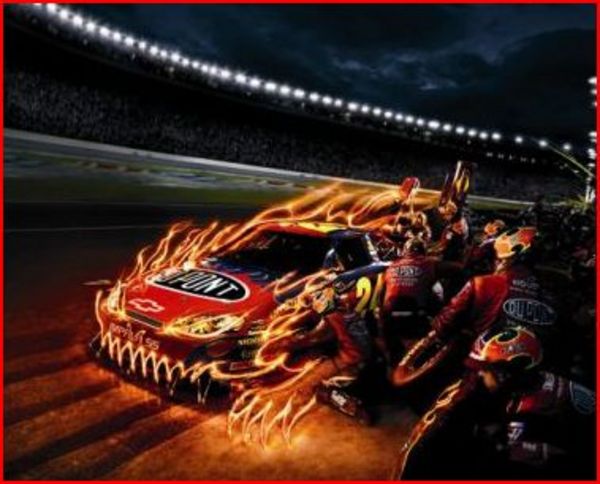 jeff gordon wins at phoenix. Jeff Gordon Lit Up