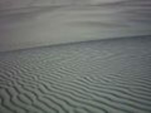 Little Sahara, Kangaroo Island, south coast.