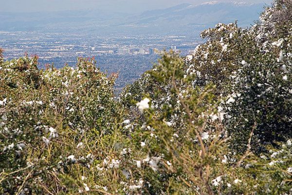 Looking down on San Jose