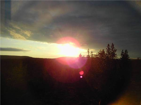 Midnight Sun