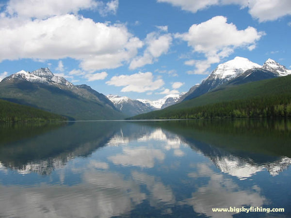 Montanacloud