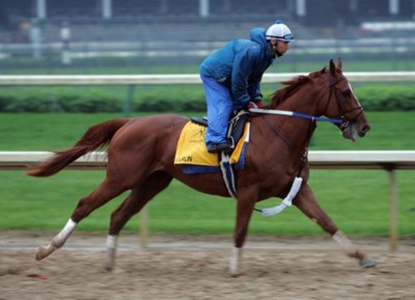 National Thoroughbred Racing Association (NTRA) - Real Estate at Weblo ...