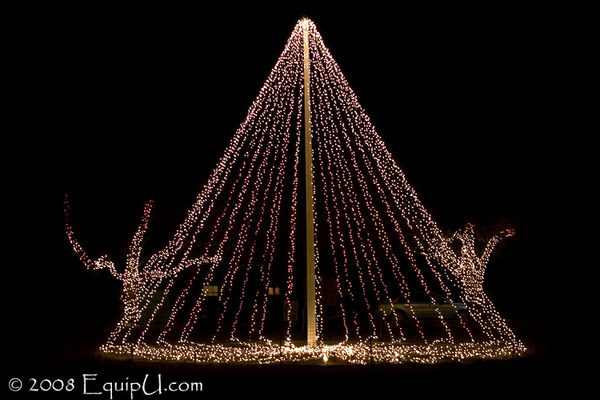Outside Christmas Tree of Lights