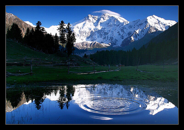 Pakistan - Fairy Meadows - Circles of Life -