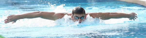 Phelps - Wingspan