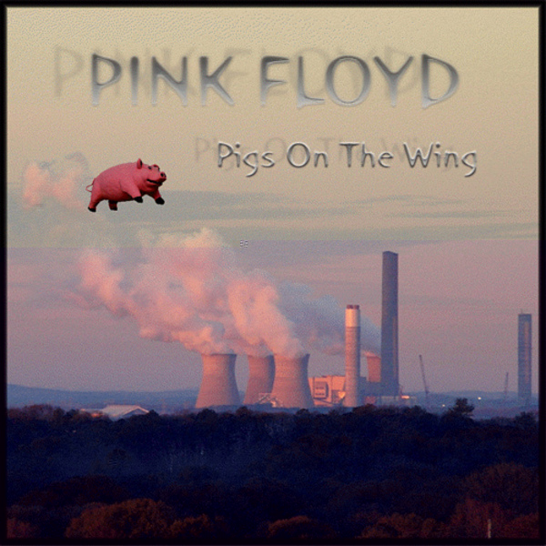 Pink Floyd - Pigs On The Wing