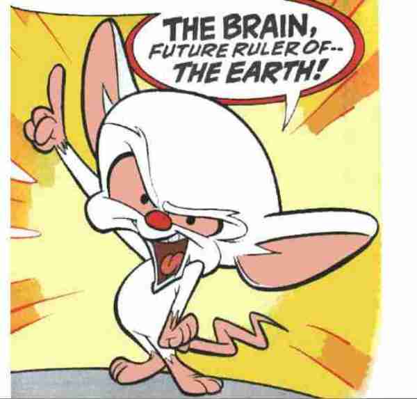 Pinky_and_the_Brain_46478b5996bc6.jpg