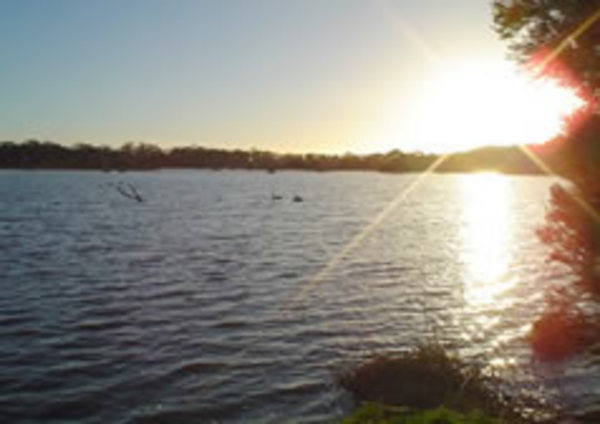 Sale Wetlands