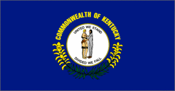 State Flag