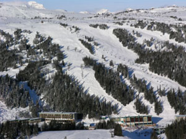 ski.com