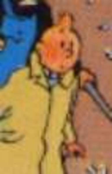 TINTIN Herge
