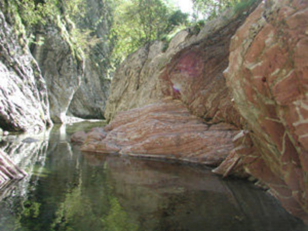 Wildbach Breggia