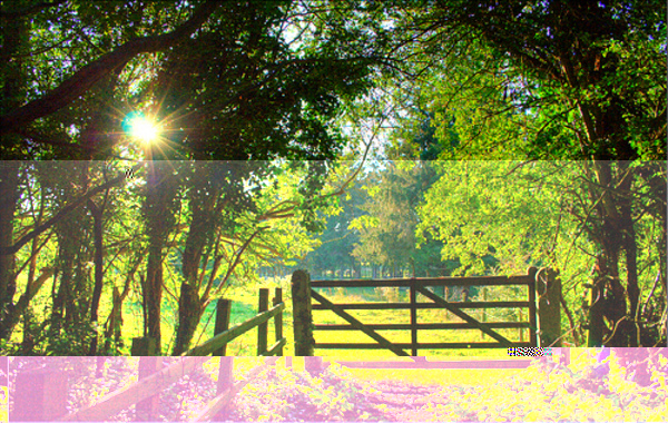cole green way, hertford