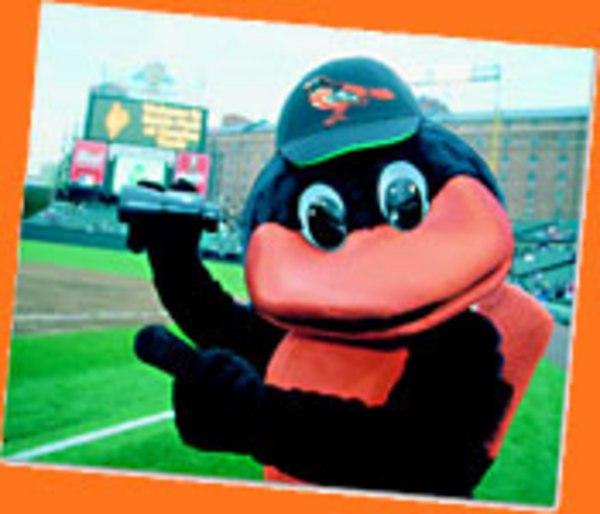 The Orioles Mascot, The Bird