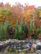 Algonquin Provincial Park