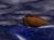 Ark of Noah
