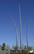 Cannon AFB