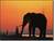 Chobe National Park