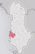 Fier