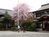 Fuchū