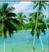 Goa