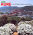 Kure