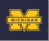 University of Michigan Wolverines