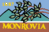 Monrovia City