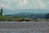 Amazon River Basin