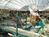 West Edmonton Mall