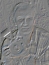 josepp